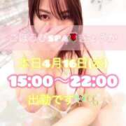 ヒメ日記 2025/04/16 11:06 投稿 きょうか ごほうびSPA広島店