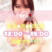 ヒメ日記 2025/04/29 09:46 投稿 きょうか ごほうびSPA広島店