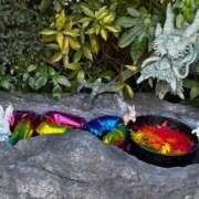 ヒメ日記 2025/11/20 22:06 投稿 みわ☆ 豊橋豊川ちゃんこ