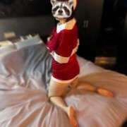 ヒメ日記 2025/12/11 05:12 投稿 みわ☆ 豊橋豊川ちゃんこ