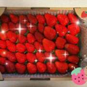 ヒメ日記 2026/02/17 11:32 投稿 みわ☆ 豊橋豊川ちゃんこ