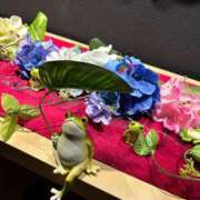 はる 6月💙💜 奥様はエンジェル　相模原店