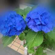 はる こんにちは🏖☀️ 奥様はエンジェル　相模原店