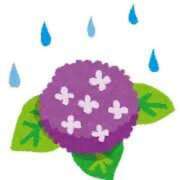 ヒメ日記 2025/05/23 00:01 投稿 ここ 11チャンネル