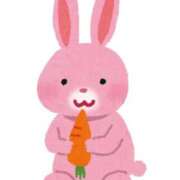 ヒメ日記 2025/08/25 06:00 投稿 ここ 11チャンネル