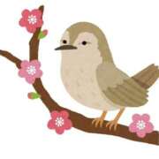 ここ 4月前半の出勤日🌷 11チャンネル