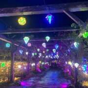 ヒメ日記 2025/01/05 02:43 投稿 のの 即プレイ専門店 性の極み