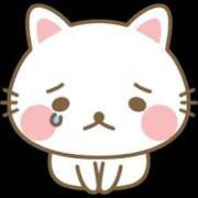 ヒメ日記 2025/06/12 07:28 投稿 あお エンジェルシリカ