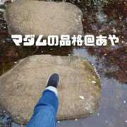 ヒメ日記 2025/04/09 18:46 投稿 あや マダムの品格