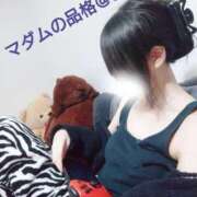 ヒメ日記 2026/03/19 20:24 投稿 あや マダムの品格