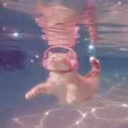 にこ お願い 道玄坂クリスタル