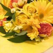 ヒメ日記 2025/02/01 16:07 投稿 星咲 ひまり バルボラ マリン