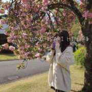 ヒメ日記 2025/08/16 12:47 投稿 星咲 ひまり バルボラ マリン