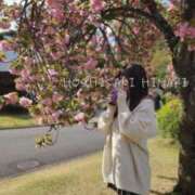 ヒメ日記 2025/09/03 18:47 投稿 星咲 ひまり バルボラ マリン