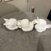 ヒメ日記 2025/01/25 22:49 投稿 るか G-SCANDAL