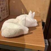 ヒメ日記 2025/02/24 23:59 投稿 るか G-SCANDAL