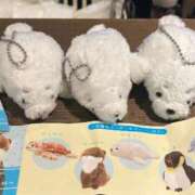 ヒメ日記 2025/05/26 22:39 投稿 るか G-SCANDAL