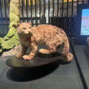 ヒメ日記 2025/07/15 20:21 投稿 るか G-SCANDAL