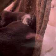 ヒメ日記 2025/08/05 21:29 投稿 るか G-SCANDAL