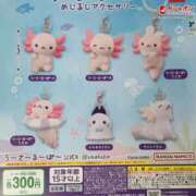 ヒメ日記 2025/11/12 21:39 投稿 るか G-SCANDAL