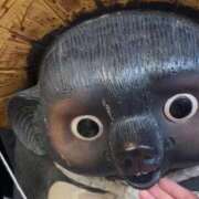 ヒメ日記 2025/11/15 19:30 投稿 るか G-SCANDAL