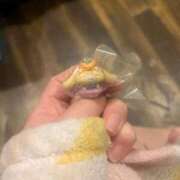 ヒメ日記 2026/01/25 22:49 投稿 るか G-SCANDAL