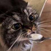 るか １週間お疲れ様〜🌟 G-SCANDAL