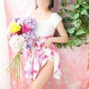 ヒメ日記 2025/12/02 10:16 投稿 彩 三浦屋別館