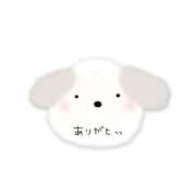 ヒメ日記 2026/05/26 18:06 投稿 彩 三浦屋別館