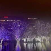 ヒメ日記 2024/12/14 21:02 投稿 鈴木まゆき(すずきまゆき) 五十路マダムエクスプレス厚木店(カサブランカグループ)