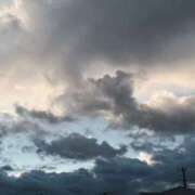 ヒメ日記 2024/12/19 07:56 投稿 鈴木まゆき(すずきまゆき) 五十路マダムエクスプレス厚木店(カサブランカグループ)