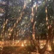 ヒメ日記 2025/01/02 18:52 投稿 鈴木まゆき(すずきまゆき) 五十路マダムエクスプレス厚木店(カサブランカグループ)