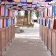 ヒメ日記 2025/02/23 16:06 投稿 鈴木まゆき(すずきまゆき) 五十路マダムエクスプレス厚木店(カサブランカグループ)