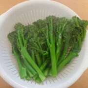 ヒメ日記 2025/02/26 09:24 投稿 鈴木まゆき(すずきまゆき) 五十路マダムエクスプレス厚木店(カサブランカグループ)