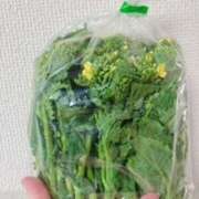 ヒメ日記 2025/02/26 14:32 投稿 鈴木まゆき(すずきまゆき) 五十路マダムエクスプレス厚木店(カサブランカグループ)