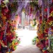 ヒメ日記 2025/03/11 08:12 投稿 鈴木まゆき(すずきまゆき) 五十路マダムエクスプレス厚木店(カサブランカグループ)