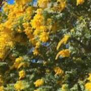 ヒメ日記 2025/03/12 21:42 投稿 鈴木まゆき(すずきまゆき) 五十路マダムエクスプレス厚木店(カサブランカグループ)