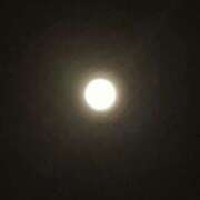 ヒメ日記 2025/03/14 00:24 投稿 鈴木まゆき(すずきまゆき) 五十路マダムエクスプレス厚木店(カサブランカグループ)