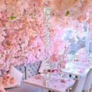 ヒメ日記 2025/03/14 05:42 投稿 鈴木まゆき(すずきまゆき) 五十路マダムエクスプレス厚木店(カサブランカグループ)