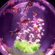 ヒメ日記 2025/03/15 10:30 投稿 鈴木まゆき(すずきまゆき) 五十路マダムエクスプレス厚木店(カサブランカグループ)