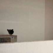 ヒメ日記 2025/03/16 07:42 投稿 鈴木まゆき(すずきまゆき) 五十路マダムエクスプレス厚木店(カサブランカグループ)