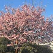 ヒメ日記 2025/03/21 19:34 投稿 鈴木まゆき(すずきまゆき) 五十路マダムエクスプレス厚木店(カサブランカグループ)