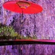 ヒメ日記 2025/04/03 00:26 投稿 鈴木まゆき(すずきまゆき) 五十路マダムエクスプレス厚木店(カサブランカグループ)