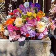 ヒメ日記 2025/04/04 14:22 投稿 鈴木まゆき(すずきまゆき) 五十路マダムエクスプレス厚木店(カサブランカグループ)