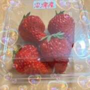 ヒメ日記 2025/04/09 20:46 投稿 鈴木まゆき(すずきまゆき) 五十路マダムエクスプレス厚木店(カサブランカグループ)