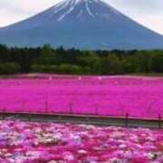 ヒメ日記 2025/04/14 06:30 投稿 鈴木まゆき(すずきまゆき) 五十路マダムエクスプレス厚木店(カサブランカグループ)