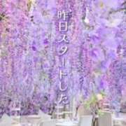 ヒメ日記 2025/04/19 08:14 投稿 鈴木まゆき(すずきまゆき) 五十路マダムエクスプレス厚木店(カサブランカグループ)