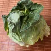 ヒメ日記 2025/04/28 10:46 投稿 鈴木まゆき(すずきまゆき) 五十路マダムエクスプレス厚木店(カサブランカグループ)