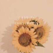 ヒメ日記 2025/05/22 19:14 投稿 鈴木まゆき(すずきまゆき) 五十路マダムエクスプレス厚木店(カサブランカグループ)