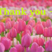 ヒメ日記 2025/05/28 23:14 投稿 鈴木まゆき(すずきまゆき) 五十路マダムエクスプレス厚木店(カサブランカグループ)